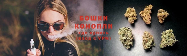 крисы Тольятти