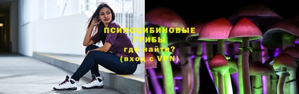 Альфа ПВП Ладушкин