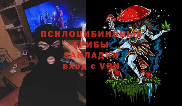 крисы Тольятти