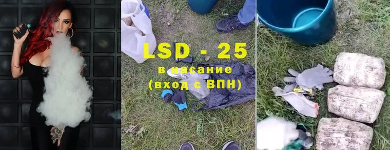 LSD-25 экстази ecstasy  купить   Новоаннинский 